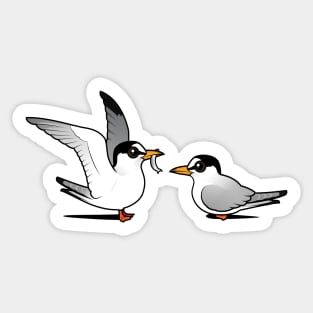 Least Terns in Love Sticker